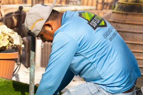 {{brizy_dc_image_alt imageSrc=